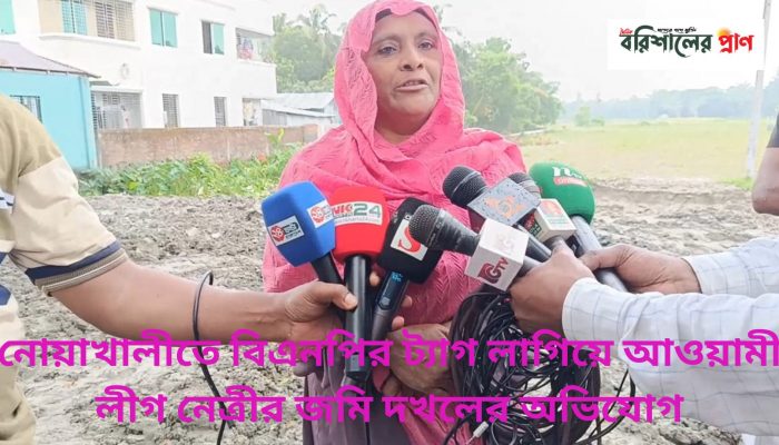 নোয়াখালীতে বিএনপির ট্যাগ লাগিয়ে আওয়ামী লীগ নেত্রীর জমি দখলের অভিযোগ